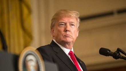 Trampın vəkili etiraf etdi: Pornoaktrisaya susması müqabilində pul ödənilib