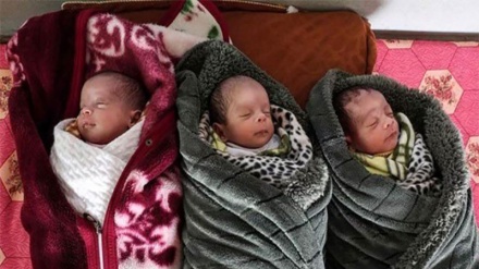 فلسطین، مقبوضہ بیت القدس اور دارالحکومت، ٹرمپ کو بہترین جواب