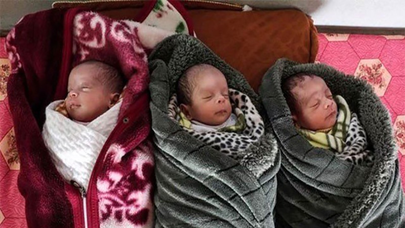 فلسطین، مقبوضہ بیت القدس اور دارالحکومت، ٹرمپ کو بہترین جواب