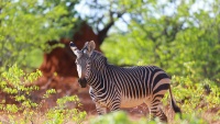 Ljepote Namibije
