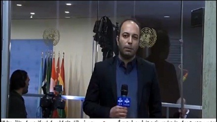 سلامتی کونسل کے ارکان نے صیہونی حکومت کی جارحیت کی مذمت کی 