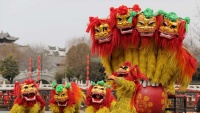 Proslava kineske nove godine
