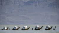 Konvoj kamila u vodama jednog udaljenog područja u Etiopiji
