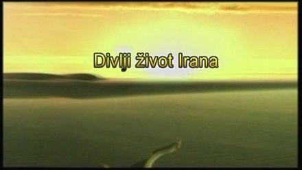 Divlji život Irana (4.dio)	