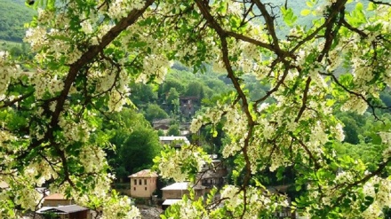 گۆرانی کوردی ئێران