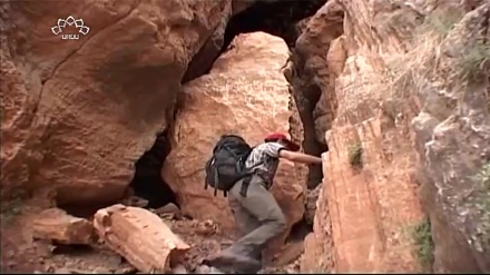 ڈاکیومینٹری - حیرت انگیزغار