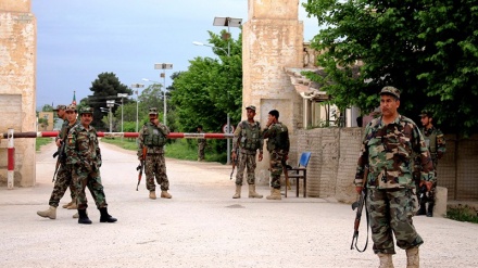 کابل اور ھلمند کے دھماکوں میں داعش اور طالبان ملوث