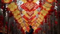 Proslava kineske nove godine
