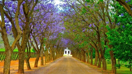 وەرزی بەهار له سەرانسەری جیهان