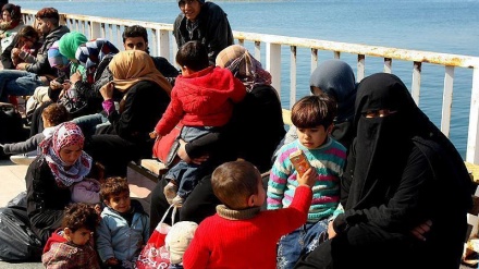 گیرانی بەسەدان کۆچبەری نایاسایی لە تورکیا