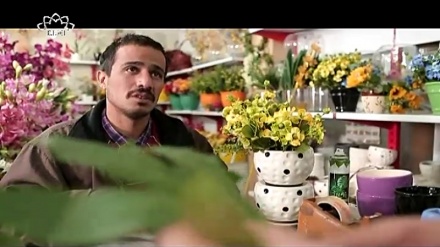 Li kêleka te dikenim