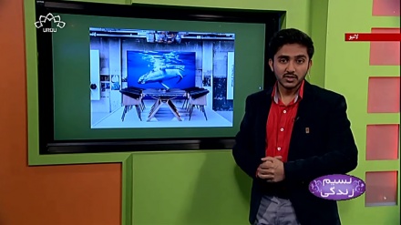 پروگرام نسیم زندگی کا معلوماتی حصہ