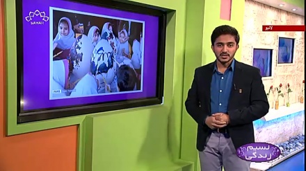 پروگرام نسیم زندگی کا معلوماتی حصہ