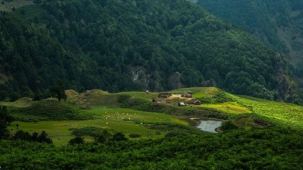 سرووشتی جوانی ئێران