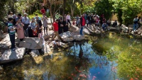 Novogodišnji turisti u vrtu Eram u Širazu
