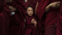 Mladi monasi u manastiru u Tongrenu u Kini
