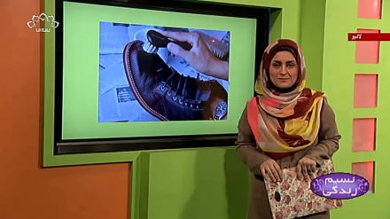 پروگرام نسیم زندگی کا معلوماتی حصہ