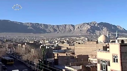 ڈاکیومینٹری پروگرام - کولھو