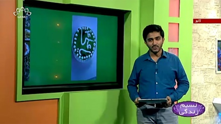 پروگرام نسیم زندگی کا معلوماتی حصہ