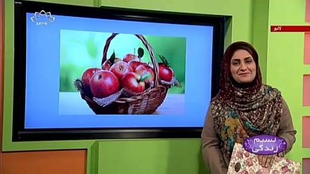 پروگرام نسیم زندگی کا معلوماتی حصہ