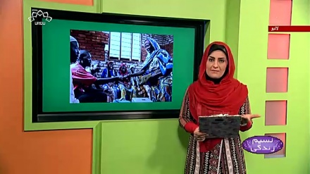 پروگرام نسیم زندگی کا معلوماتی حصہ