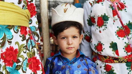وێنەگەلێکی تایبەت لە شاری بووشەهر