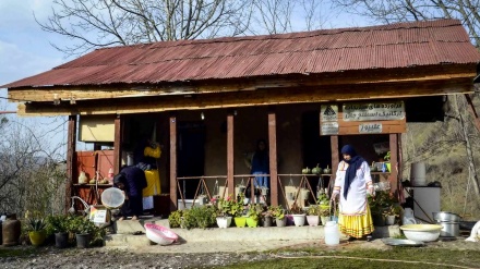 سمنو ایران کی ایک میٹھی ڈش