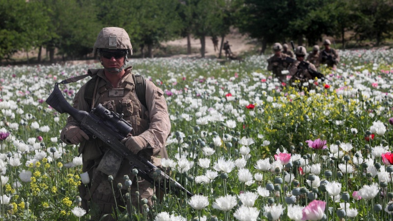 Amerika Əfqanıstanda narkotik maddələrin istehsalının dayandırılmasına mane olur