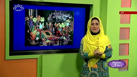 پروگرام نسیم زندگی کا معلوماتی حصہ