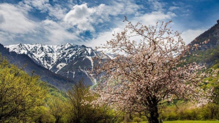 گۆرانی کوردی  به‌هار