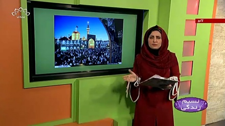 پروگرام نسیم زندگی کا معلوماتی حصہ