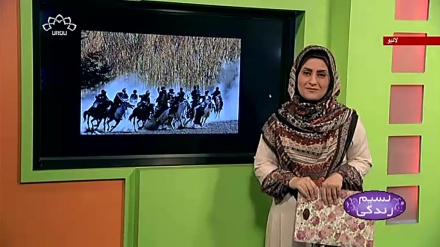 پروگرام نسیم زندگی کا معلوماتی حصہ