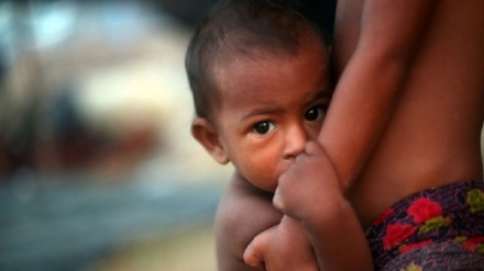 روہنگیا مسلمانوں کی تازہ ترین صورتحال