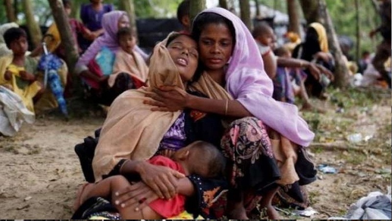روہنگیا مسلمانوں کی نسل کشی کی بابت انتباہ 