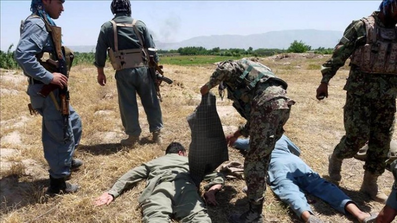 افغان فورسز کی کارروائی 15 طالبان ہلاک
