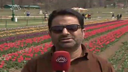 وادی کشمیر میں باغ گل لالہ کا افتتاح