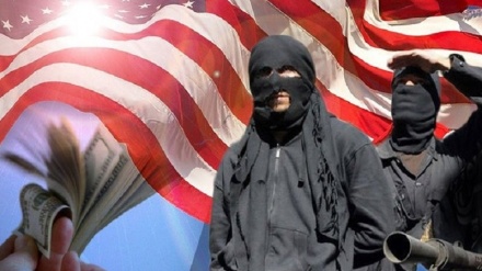 افغان طالبان کے ساتھ مذاکرات میں امریکی شرائط