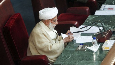  اسلامی انقلاب نے شہادت کی ثقافت کو اجاگر کیا ہے