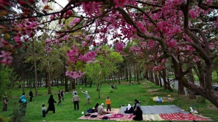 جیهان لە 100 چرکەدا - 02-04-2018