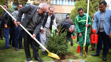 تہران میں ثقافتی اور ادبی شخصیات کی جانب سے شجر کاری مہم 