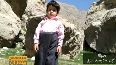 ئەلبۆمی وێنەی بینــەران