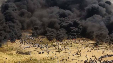 فلسطینیوں نے دھویں کو ڈھال بنایا۔ تصاویر