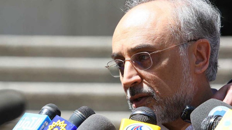 Salehi: Suriyaya raket hücumu Amerikanın siyasi iflasını göstərdi
