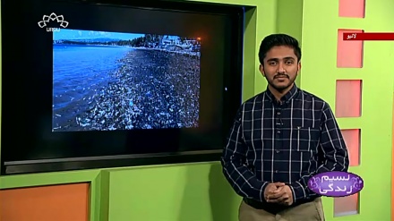 پروگرام نسیم زندگی کا معلوماتی حصہ