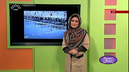 پروگرام نسیم زندگی کا معلوماتی حصہ