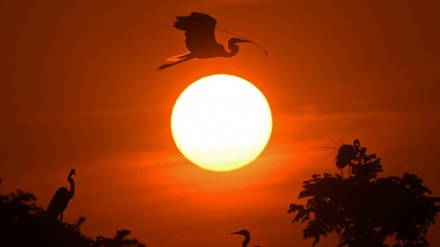 گۆرانی کوردی باخەوان