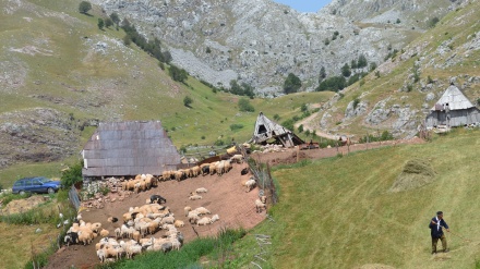 Seoski turizam u trendu: BiH ima šta pokazati i ponuditi