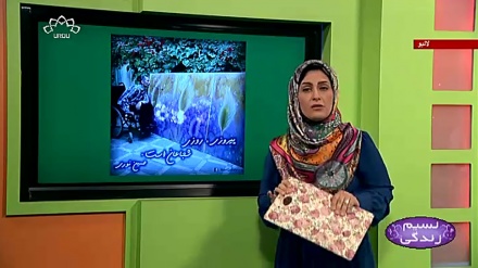 پروگرام نسیم زندگی کا معلوماتی حصہ