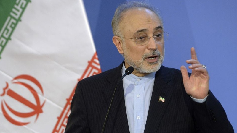 Salehi: İran nüvə anlaşmasından öncəyə qayıtmaq üçün lazımi hazırlığa malikdir
