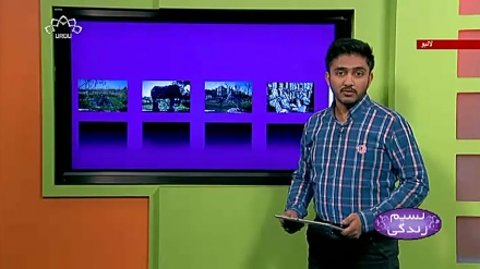 پروگرام نسیم زندگی کا معلوماتی حصہ